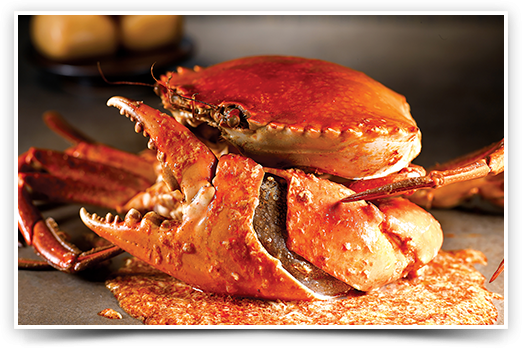 Picture of a crab dish from No Signboard.